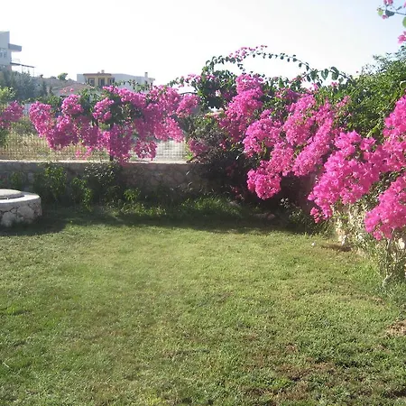 Kaptan
